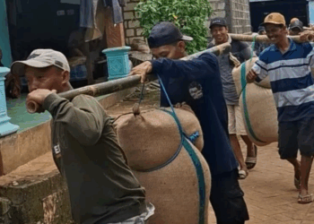 Melihat Tradisi Tuntunan di Desa Gaji, Tuban: Simbol Cinta dan Status Sosial