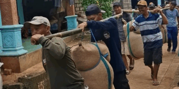 Melihat Tradisi Tuntunan di Desa Gaji, Tuban: Simbol Cinta dan Status Sosial