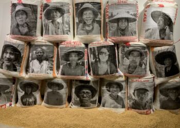 Menelisik Ketimpangan dan Ketergantungan Melalui Pameran “Revolusi Setangkai Jerami”﻿