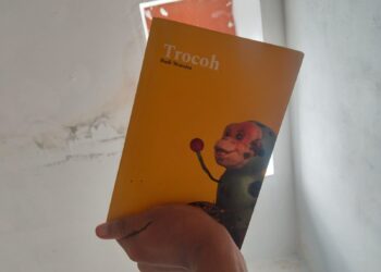 Menikmati Kepala Bocornya Budi Warsito Saat Membaca ‘Trocoh’