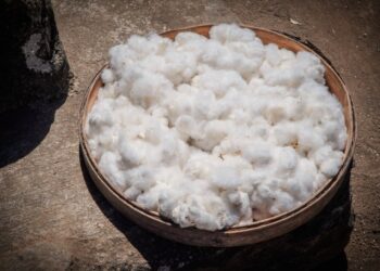 Menyigi Tejakula dan Sekitarnya [2]: Hikayat Niaga Kapas di Bali Utara  