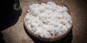 Menyigi Tejakula dan Sekitarnya [2]: Hikayat Niaga Kapas di Bali Utara  