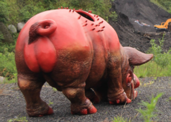 SENI EKOLOGIS —Dari Orasi Ilmiah I Wayan Setem