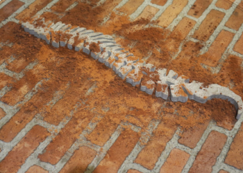 Menabur Ketabahan: Membaca “Tabur Tabah” Karya Derry Aderialtha Sembiring