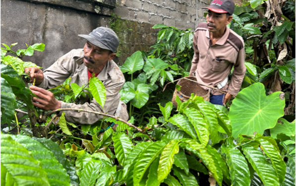 Secangkir Kopi dan Pengetahuan yang Menjaga Masa Depan