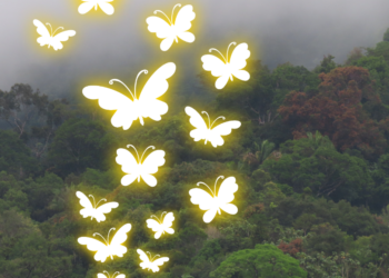 ‘Butterfly Effect’, Teori Holistik, dan Peta Kesadaran