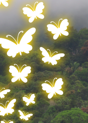 ‘Butterfly Effect’, Teori Holistik, dan Peta Kesadaran