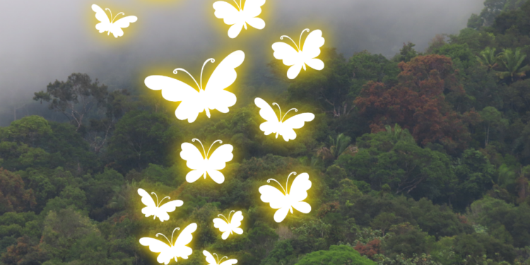 ‘Butterfly Effect’, Teori Holistik, dan Peta Kesadaran