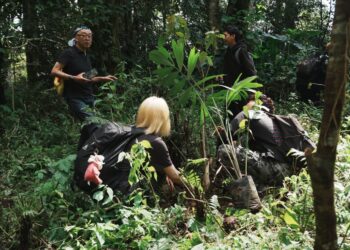 Kolaborasi Internasional Tanam 1000 Pohon di Kawasan Danau Tamblingan