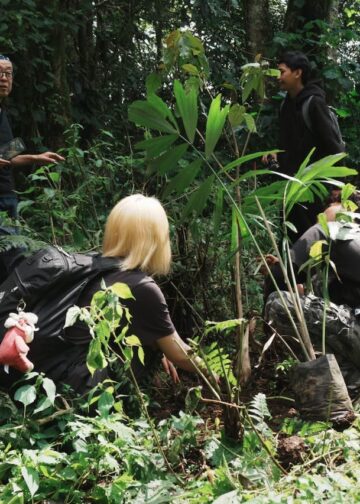 Kolaborasi Internasional Tanam 1000 Pohon di Kawasan Danau Tamblingan