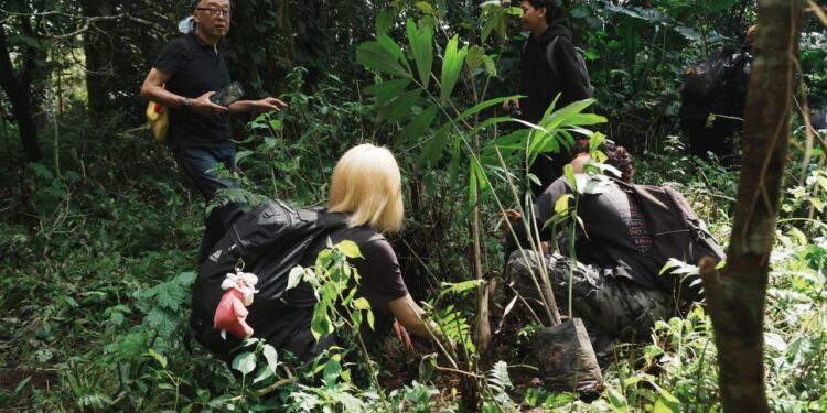 Kolaborasi Internasional Tanam 1000 Pohon di Kawasan Danau Tamblingan