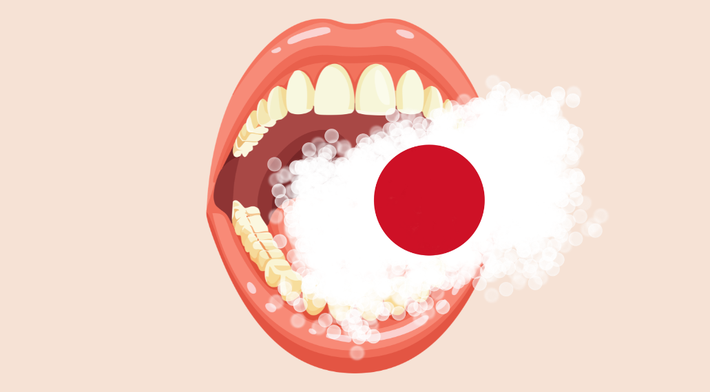 ‘Janji-janji Jepang’