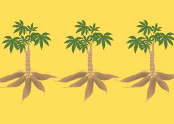 Singkong dan Dosa Orde Baru