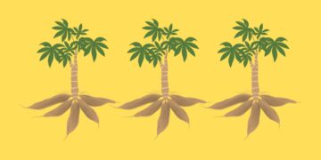 Singkong dan Dosa Orde Baru