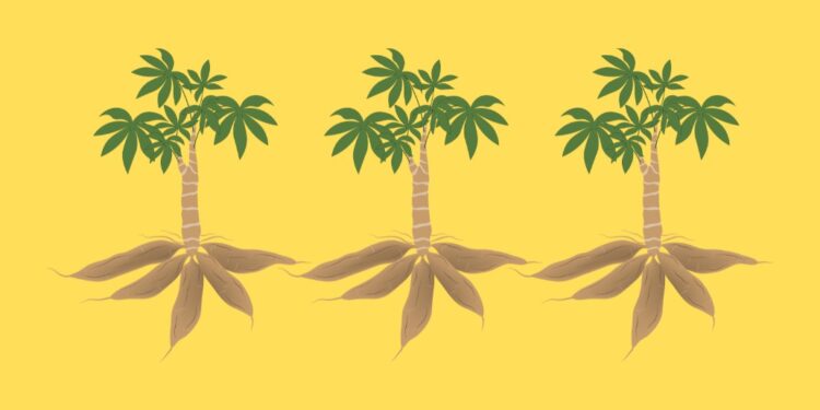 Singkong dan Dosa Orde Baru