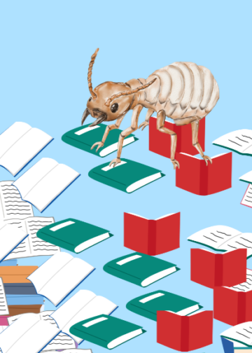 Seremoni Hardiknas dan Krisis Literasi