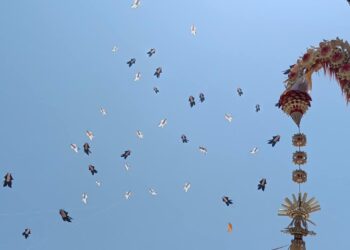 Langit Sanur, Panggung Rare Angon dan Tradisi Melayangan