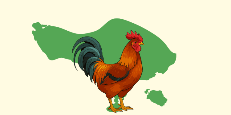 Bercakap-cakap tentang Sabung Ayam bersama Clifford Geertz