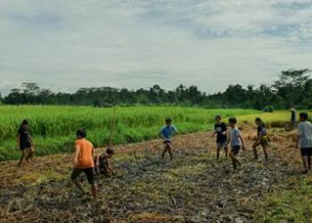 “Tung Tung Uma”: Ketika Sawah Menjadi Medan Pertaruhan