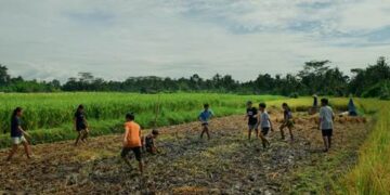 “Tung Tung Uma”: Ketika Sawah Menjadi Medan Pertaruhan