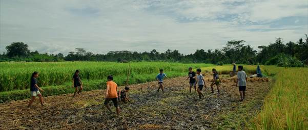 “Tung Tung Uma”: Ketika Sawah Menjadi Medan Pertaruhan