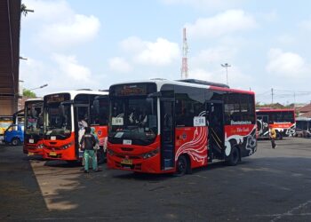 Krisis BBM dan Ujian Transportasi Publik Bali
