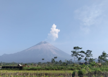 Belajar dari Senat, Menyapa Semeru